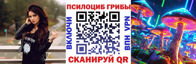 mega сайт  как найти   Чистополь  Псилоцибиновые грибы мухоморы 