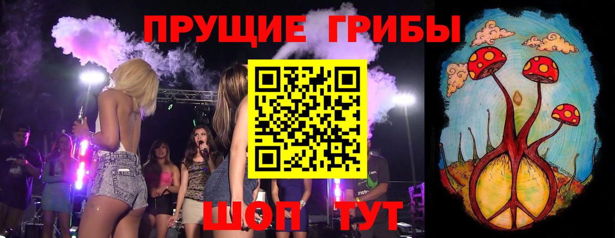 Галлюциногенные грибы мухоморы  Псилоцибиновые грибы Psilocybe  Чистополь  Вход с VPN 